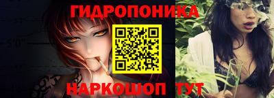ешки Будённовск