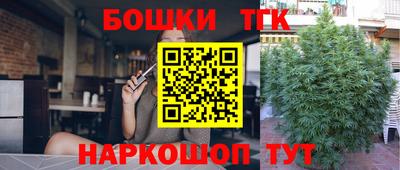 ешки Будённовск