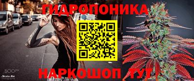 ешки Будённовск