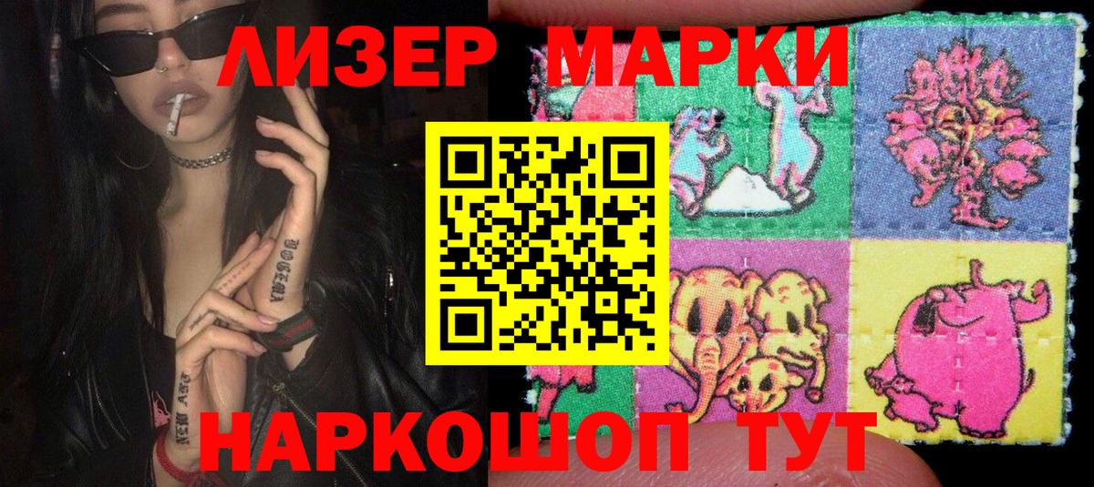 Наркотические марки 1500мкг  Наркотические марки 1500мкг  Вход с VPN  Марки NBOMe  Лесной 