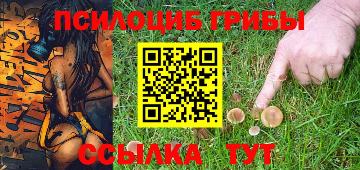 купить наркотики сайты  Галлюциногенные грибы Psilocybe  Вход с VPN  Галлюциногенные грибы Magic Shrooms  Лесной 