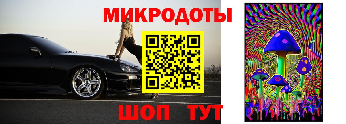 Галлюциногенные грибы Psilocybe Лесной